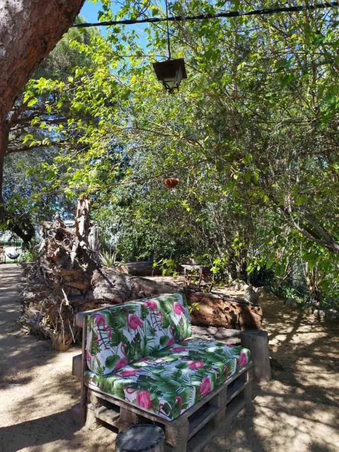 Hostal Los Pinares Lloret de Mar Zewnętrze zdjęcie