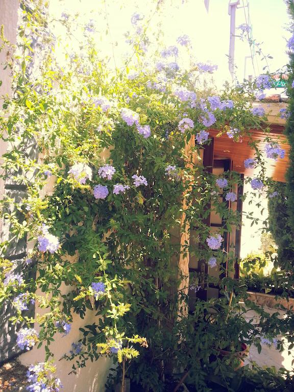 Hostal Los Pinares Lloret de Mar Zewnętrze zdjęcie